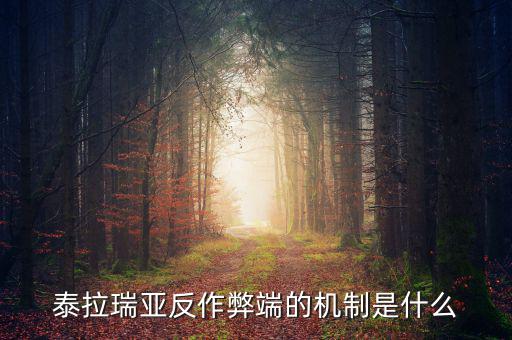 什么是反舞弊機(jī)制，google廣告聯(lián)盟反作弊系統(tǒng)原理嗎
