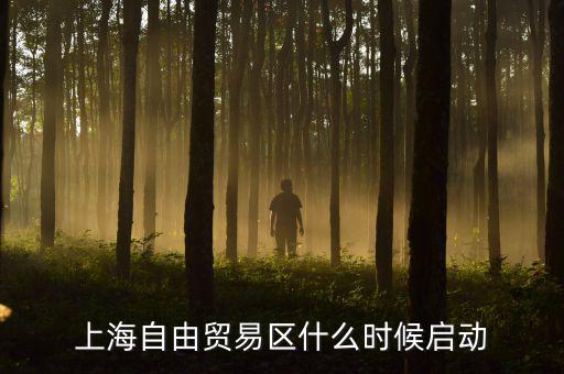 上海自貿(mào)區(qū)什么時(shí)候開放，上海自由貿(mào)易區(qū)什么時(shí)候啟動(dòng)