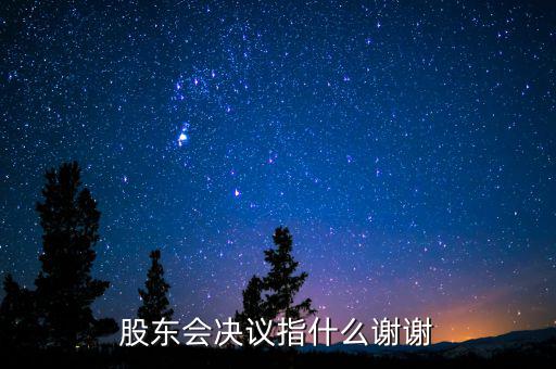 什么是股東會決議，有限責(zé)任公司決議叫股東會會決議那么國有企業(yè)決議應(yīng)該叫什