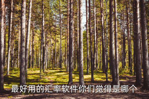 外匯用什么軟件，什么外匯交易軟件最好