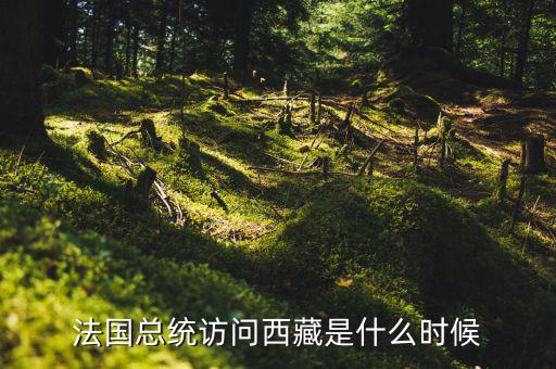 默克爾什么時間訪華，法國總統(tǒng)訪問西藏是什么時候