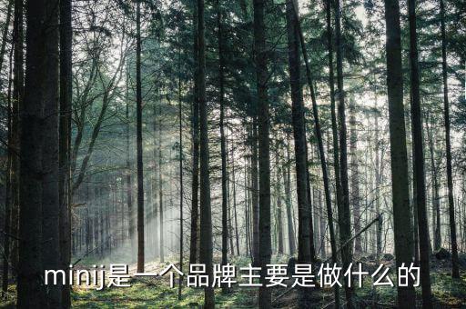 曹山石是干什么的，minij是一個(gè)品牌主要是做什么的