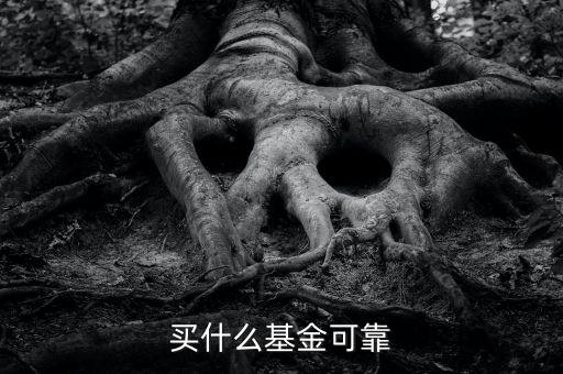 什么基金靠譜，哪些基金公司比較靠譜