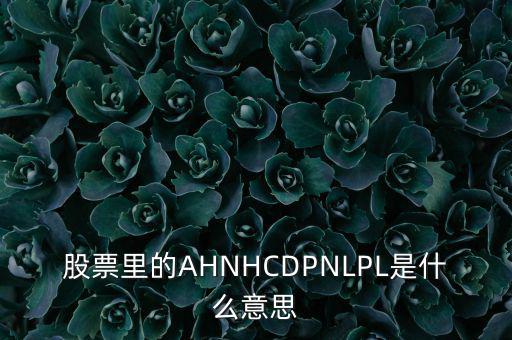 股票nl是什么意思，股票里的AHNHCDPNLPL是什么意思