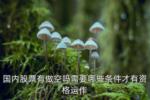 什么股票才可以做空，同花順里面有沒有可以做空的股票