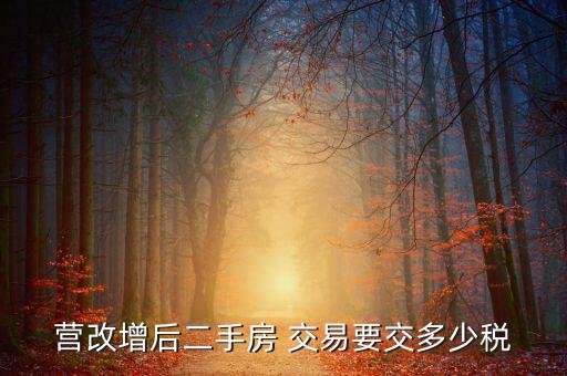 二手房營改增后買賣要上什么稅，營改增后二手房 交易要交多少稅