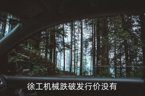 徐工機(jī)械什么時(shí)候復(fù)權(quán)，徐工機(jī)械何時(shí)復(fù)牌