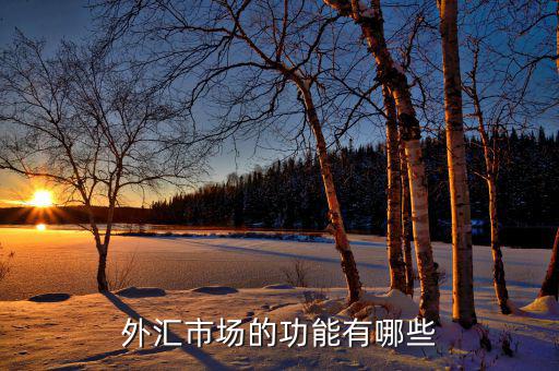 外匯有什么用，外匯市場的功能有哪些