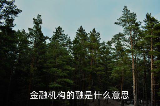 金融機(jī)構(gòu)的融是什么意思，融資中的融是什么意思