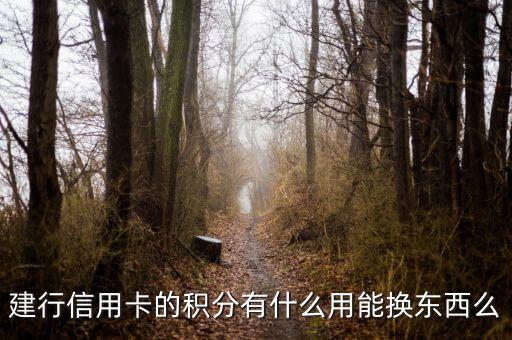 建行信用卡積分能兌換什么，請(qǐng)問(wèn)下建行信用卡1萬(wàn)多積分可以換什么