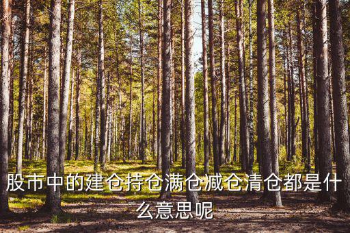 為什么減倉，減倉是什么意思什么是減倉