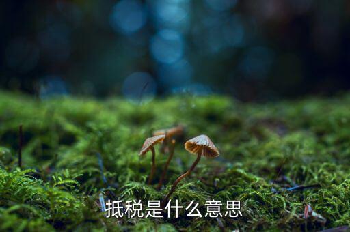 公司抵稅是什么意思，抵稅是什么意思
