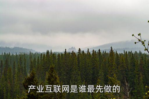 產(chǎn)業(yè)互聯(lián)網(wǎng)是什么龍頭，產(chǎn)業(yè)互聯(lián)網(wǎng)是誰(shuí)最先做的