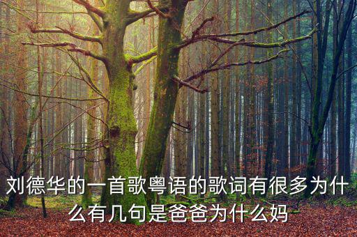 法為什么對is空襲，劉德華的一首歌粵語的歌詞有很多為什么有幾句是爸爸為什么媽