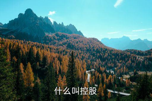 什么是控股關(guān)系，什么叫控股