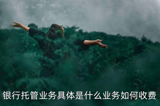 什么是票據(jù)托管，銀行托管業(yè)務(wù)具體是什么業(yè)務(wù)如何收費(fèi)