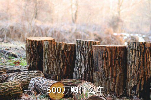 500萬身家開什么車，500萬人民幣可買什么車