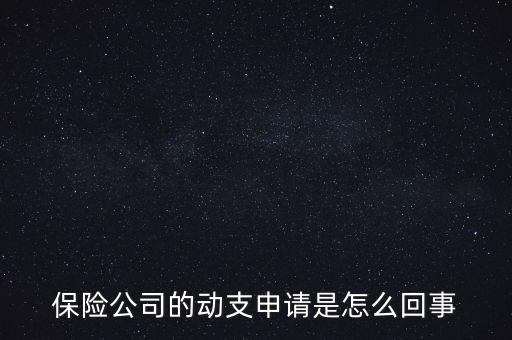 什么是動支申請，怎么樣支申請