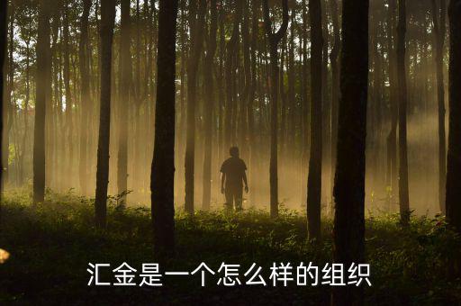 中央?yún)R金干什么的，匯金是一個(gè)怎么樣的組織