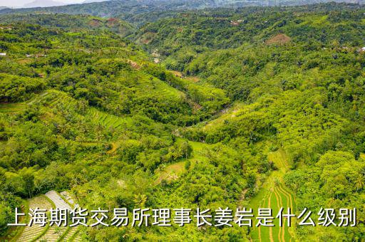 上交所理事長(zhǎng)什么級(jí)別，上海期貨交易所理事長(zhǎng)姜巖是什么級(jí)別