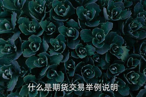 期權(quán)期貨是什么意思，期權(quán)與期貨是什么意思