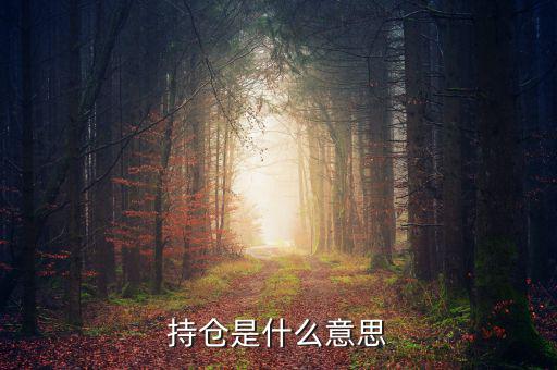 什么是買(mǎi)持倉(cāng)，持倉(cāng)是什么意思