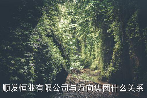 順發(fā)恒業(yè)是什么公司，順發(fā)恒業(yè)有限公司與萬向集團(tuán)什么關(guān)系