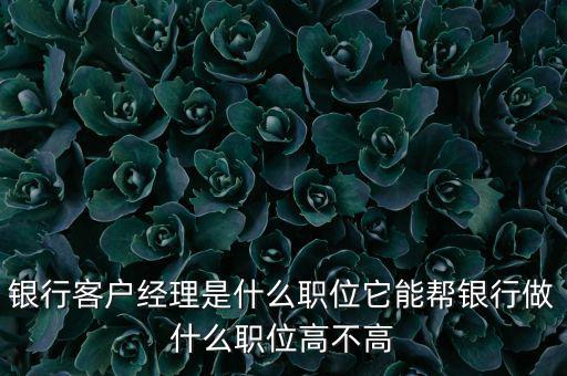 什么是銀行直銷(xiāo)客戶(hù)經(jīng)理，銀行客戶(hù)經(jīng)理是什么職位它能幫銀行做什么職位高不高
