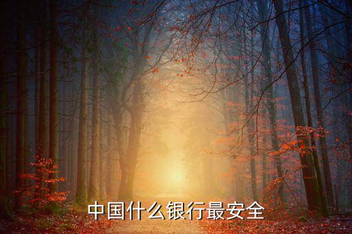 什么銀行安全，世界上什么銀行最安全