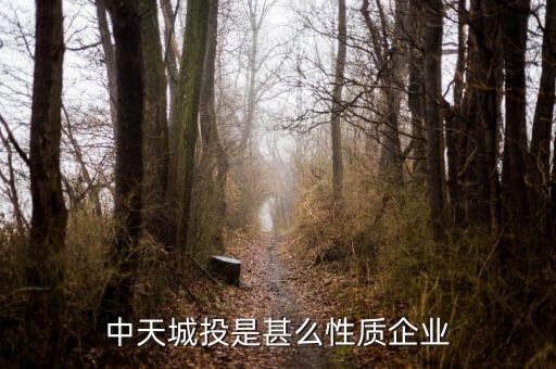 中天城投是什么概念，中天城投在這么些年的發(fā)展中涉及了哪些行業(yè)