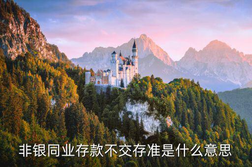 什么是非銀同業(yè)存款，什么是銀行同業(yè)存款