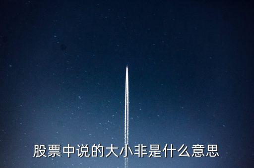 股市大小非是什么意思，股市中的大小非是指什么