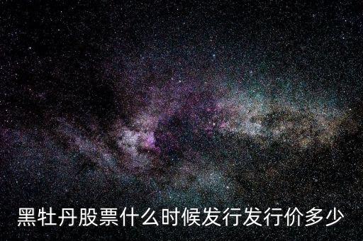 黑牡丹股什么時間上市，股票黑牡丹的上市公司是做什么的