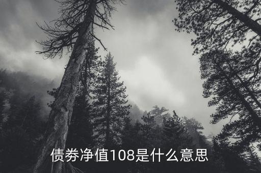 債券凈值是什么意思，債劵凈值108是什么意思