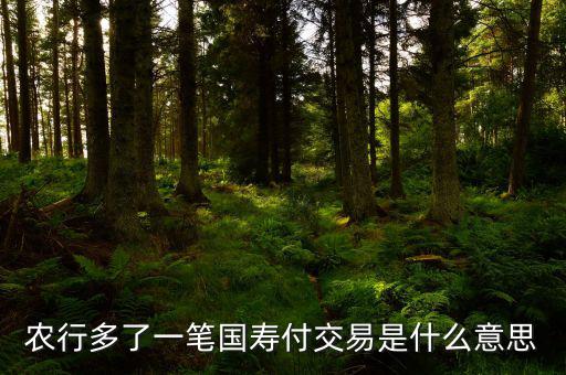 國壽交易是什么，農行多了一筆國壽付交易是什么意思
