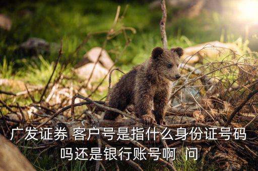 廣發(fā)證券開戶編號(hào)是什么，廣發(fā)證券 客戶編號(hào) 是什么