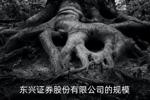 東興證券為什么是龍頭，東興證券這家證券公司怎么樣
