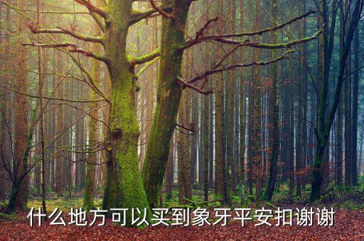 在日本什么地方買象牙制品，什么地方有批發(fā)象牙飾品的