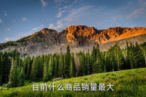 什么消費(fèi)品最大市場(chǎng)，目前什么商品銷量最大