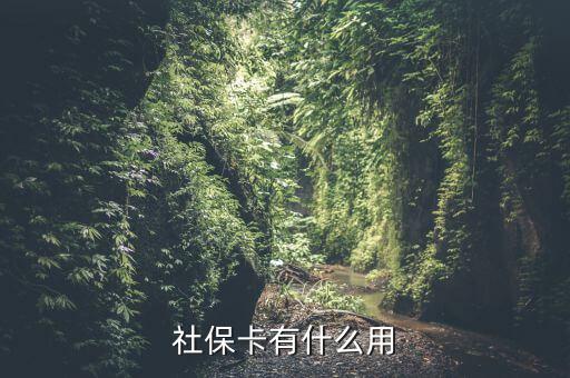 社會(huì)保障卡有什么用，社會(huì)保障卡有什么功能