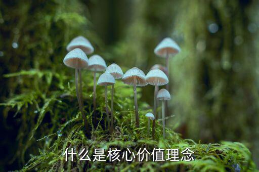 什么是核心價值理念，什么是核心價值理念