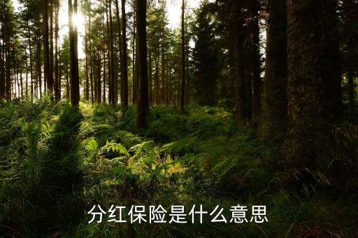 什么是分紅保險，分紅保險是什么意思