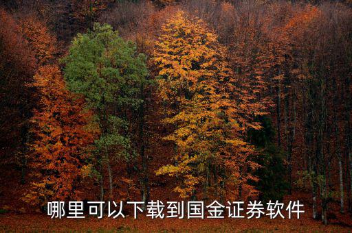 國金證券用的什么軟件，國金證券手機(jī)怎樣下載