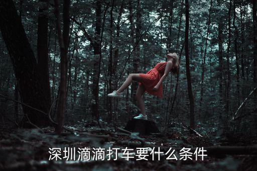 深圳交通滴滴有什么政策，申請(qǐng)深圳滴滴對(duì)司機(jī)有些什么要求嗎