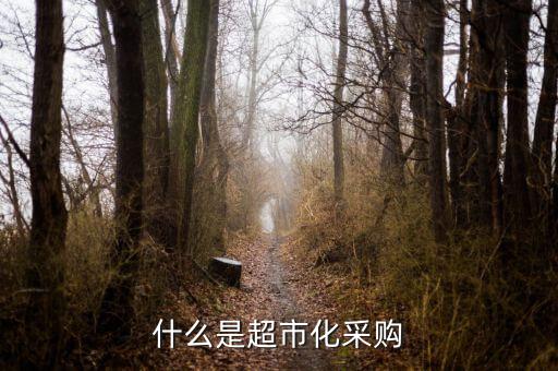 超市化采購(gòu)什么意思，什么是超市化采購(gòu)