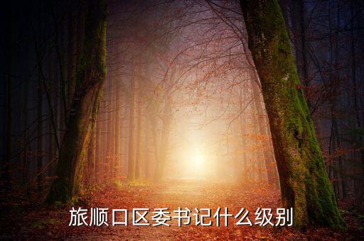 黃潤秋什么級別，中林集團董事長是什么行政級別
