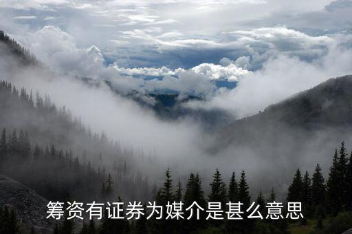 沒有以證券為媒介什么意思，籌資有證券為媒介是甚么意思