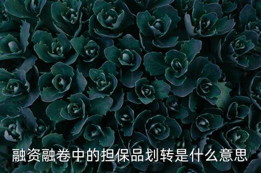 什么是劃轉(zhuǎn)，劃撥轉(zhuǎn)賬是什么意思