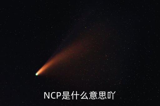 可比企業(yè)ncp是什么簡稱，NCP是什么意思吖