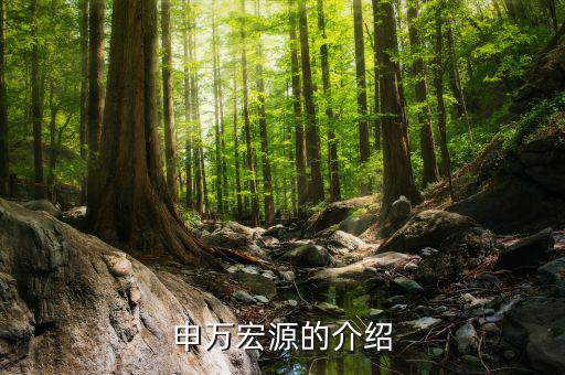 申萬(wàn)宏源總經(jīng)理什么級(jí)，申萬(wàn)宏源區(qū)分公司總經(jīng)理有行政級(jí)別嗎